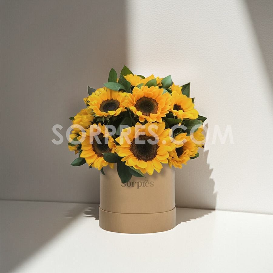 Sorpresa de Primavera – flores en Cusco