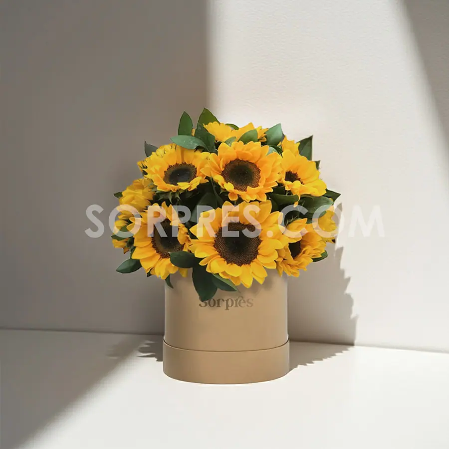 Caja de girasoles Sorpresa de primavera – florería en Cusco
